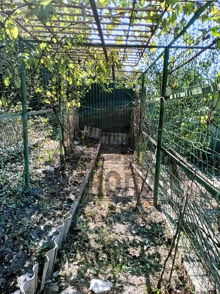 Два дома на участке с/т "Спутник" (№895) Два дома на участке с/т "Спутник" (№895)