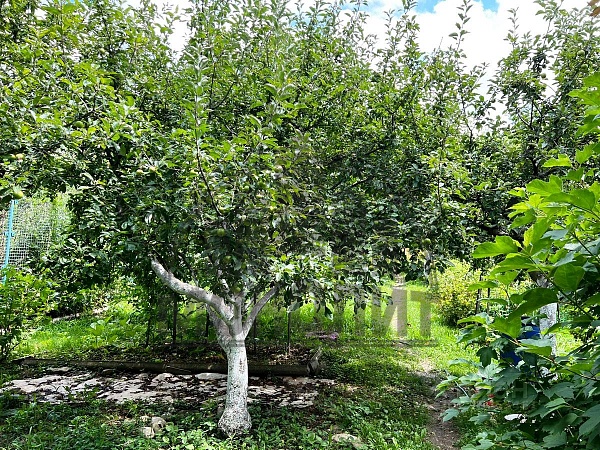 Дом с зем. участком пгт. Джубга (№1190)